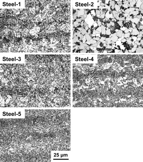 Metallography Of The Microstructure Of The Steels Download