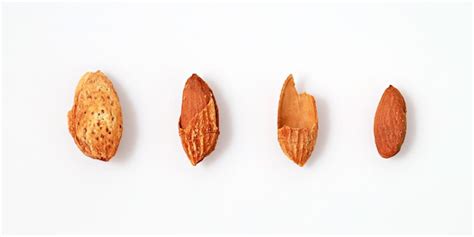 Premium Photo Directly Above Shot Of Cupcakes Against White Background