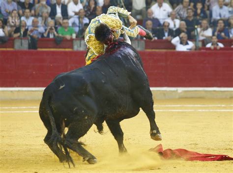 La Secuencia De La Cornada A Cayetano En Zaragoza