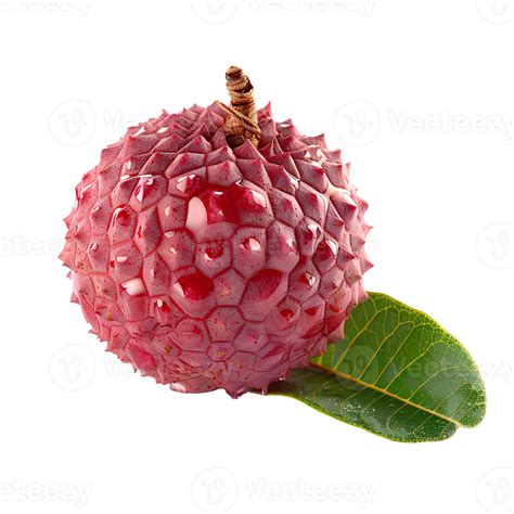 recipes with lychee fruit 10