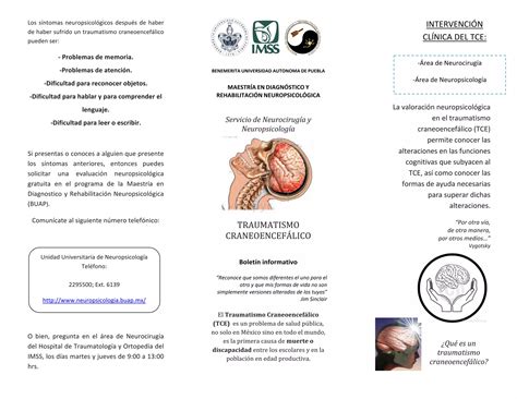 Triptico IMSS Traumatologia Pdf