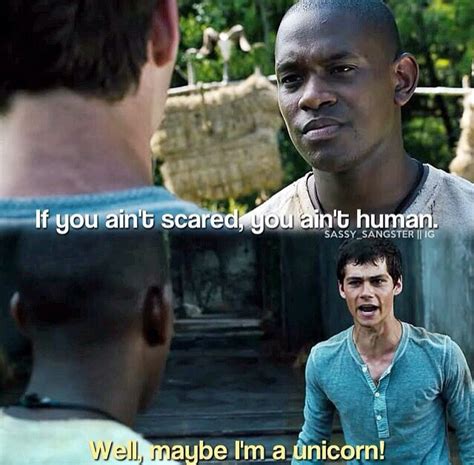 Maze Runner Imagines And Preferences Newt Imagine Maze Runner