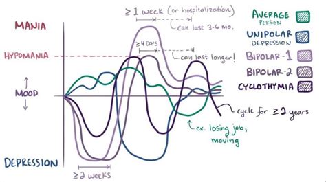 Bipolar Brain In Diagram