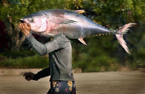 General Santos City: The Tuna Capital of the Philippines