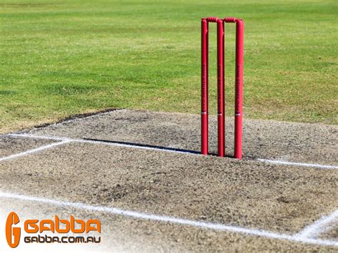 HYBRID WICKET USA CRICKET - Sports Netting and Surfaces