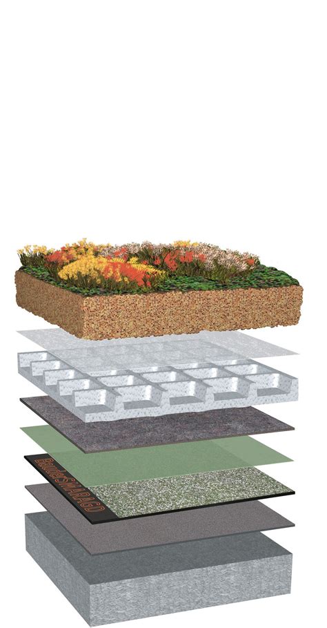 Sechs Tipps Zum Wirksamen Aufbau Einer Dachbegr Nung Kracht Dachtechnik