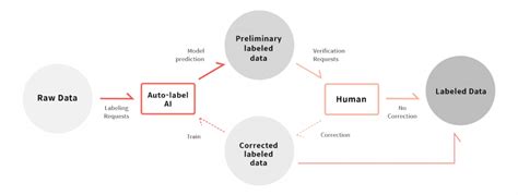 Automation In Data Labeling Platforms A Comprehensive Guide