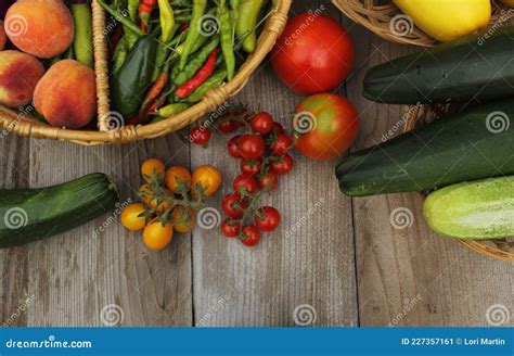 Cosecha De Verduras Org Nicas Al Aire Libre En La Explotaci N Imagen De