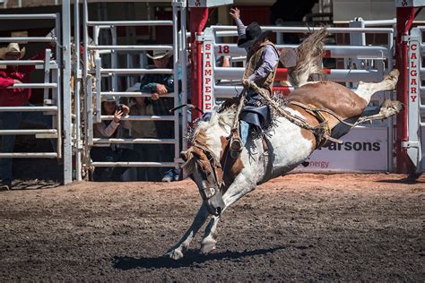 Photos: The Calgary Stampede celebrates 105 years | Canadian Geographic