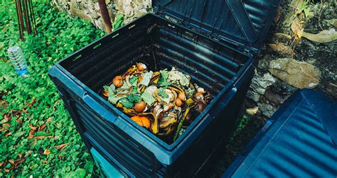 How To Layer A Compost Bin For Optimum Composting Success