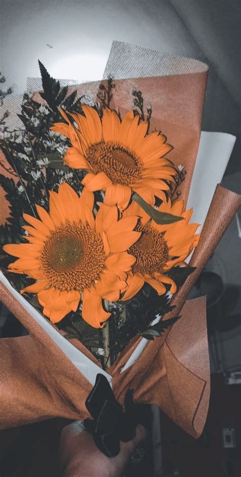 Sunflower Wallpaper - Beautiful Aesthetic for Your Phone