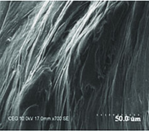 sem image  chip obtained  drilling  scientific diagram