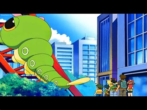 Zander S Giant Caterpie Evolves Into Giant Metapod YouTube