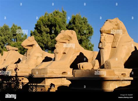 Sphinx allee karnak Fotos und Bildmaterial in hoher Auflösung Alamy