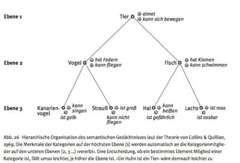 Psychologie Karteikarten Quizlet