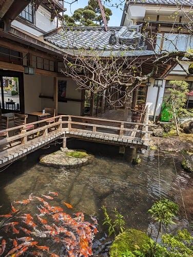 暑い一日になっています。 伊豆修善寺温泉 登録有形文化財 新井旅館 ブログ 「あらゐ日記」