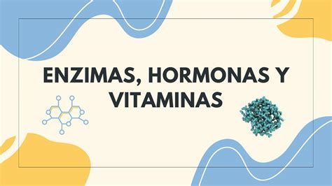 Enzimas Hormonas Y Vitaminas Ther Morante UDocz