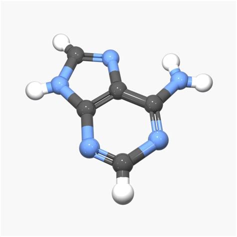 3d adenine nucleobase dna