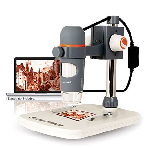 The 5 Best Digital Microscopes [ranked] Product Reviews And Ratings