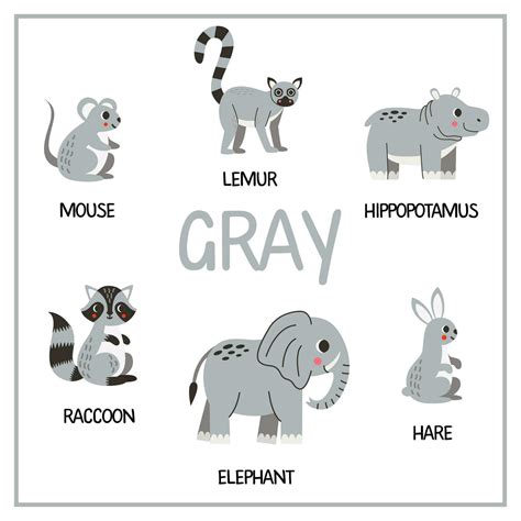 Learning colors worksheet for kids. gray color flashcard. 33841845