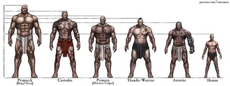 Tim Remin Warhammer Comparisons