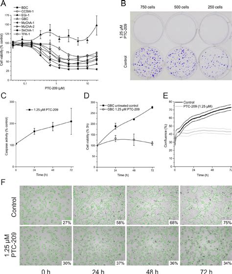 Cytotoxic Effects Of Ptc On Btc Cells A Dose Dependent Effect Of