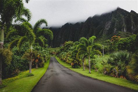 Oahu Botanical Garden Photograph by Ross van der Wal - Pixels