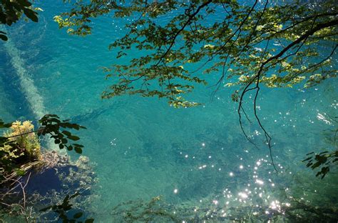 Les Lacs De Plitvice En Croatie Cascades Et Eau Bleue Turquoise