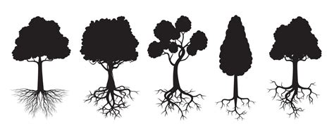 Set Black Trees With Roots Vector Illustration 9288038 Vector Art At