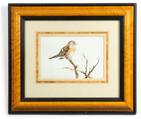 English Victorian Bird Watercolor 39