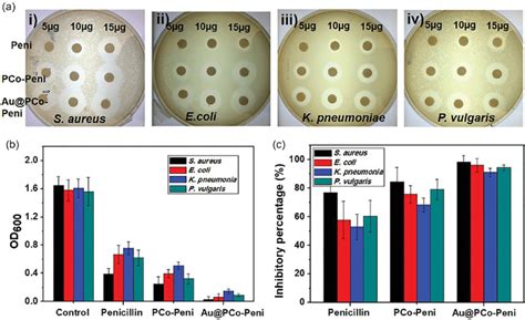 A Disk Diffusion Assay Images Of Samples With Different Download