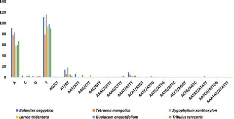 Frequency Of Different Microsatellite Motifs In Different Repeat Types