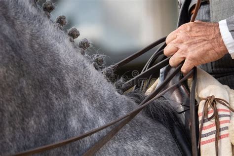 Detail Of The Rider Hands Taking The Reins Stock Image Image Of Doma