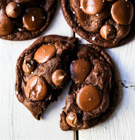 Double Chocolate Cookies Rich Velvety Melt In Your Mouth Chocolate