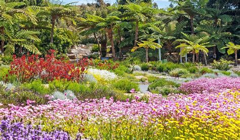 Gallery Australias Top 10 Botanic Gardens Australian Geographic