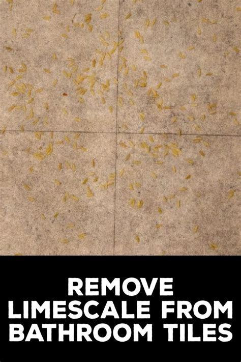 How To Remove Limescale From Bathroom Tiles Shower Tile Cleaner Shower Floor Tile Shower Walls