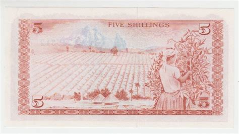 Shillings Banknote Kenia Shillings Banknote Kassenfrisch Ma Shops