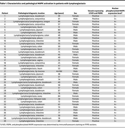 Jci Insight Pathological Mapk Activationmediated Lymphatic Basement