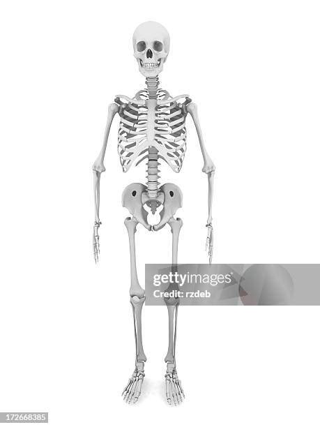 Skeleton Cut Out Photos and Premium High Res Pictures - Getty Images