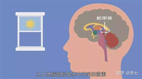 改善睡眠质量知道这点就足够了【用科学知识来睡个好觉】 知乎