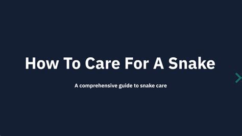 How To Care For A Snake by Pop Tart on Prezi