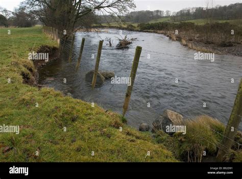 Soil erosion on river bank Stock Photo - Alamy