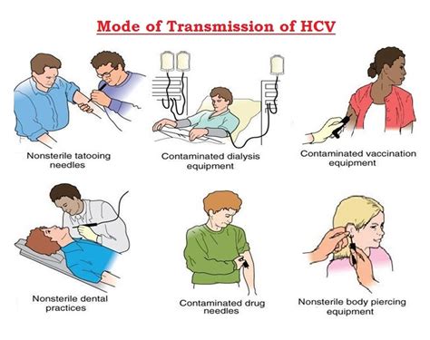 Hepatitis C : Sign & Symptoms, Transmission, Risk factors, Diagnosis ...