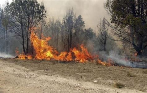 Más de 190 mil hectáreas quemadas por los incendios forestales en