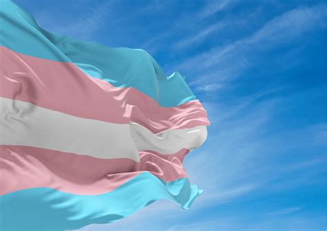 De Janeiro Dia Nacional Da Visibilidade Trans Profissas