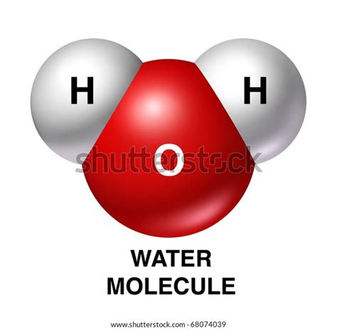 Water Molecule Chart Science Symbol Oxygen Hình Minh Họa Có Sẵn 68074039 Shutterstock