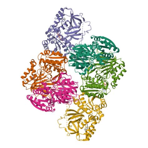 Rcsb Pdb Vzd Crystal Structure Of Sphingosine Kinase With