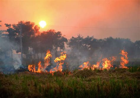 Stubble Burning Punjab Sees Farm Fires Highest In A Single Day