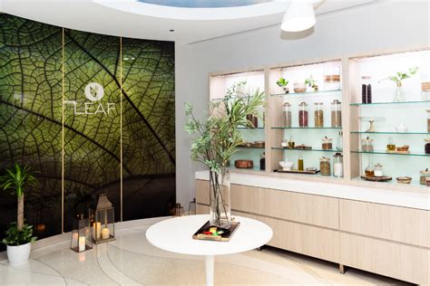 Leaf Spa Opens at Fairmont Chicago Millennium Park | American Spa