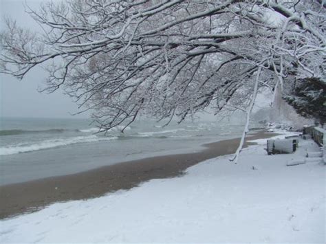 Its snowing at the beach - winter beach ambience - study, focus, relax | Winter beach, Ocean ...